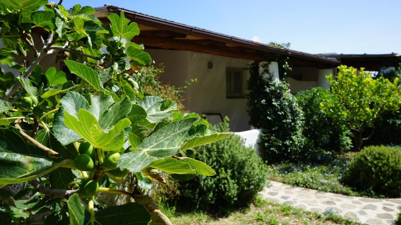 Le Casette Di Malfa Villa Malfa  Exterior photo